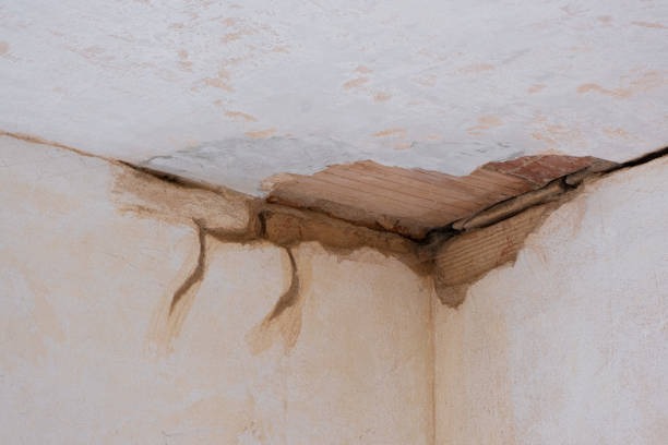 Why Every Business Needs a Water Damage Restoration Plan for Protection